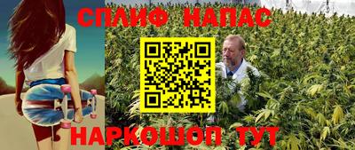 крисы Ипатово